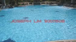 Bishan Loft (D20), Condominium #104292882